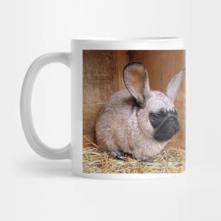 Pug Bunni Mug